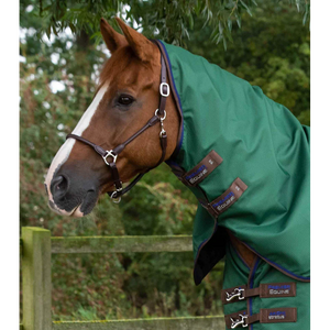 Akoni 0g Turnout Rug with Classic Neck Cover