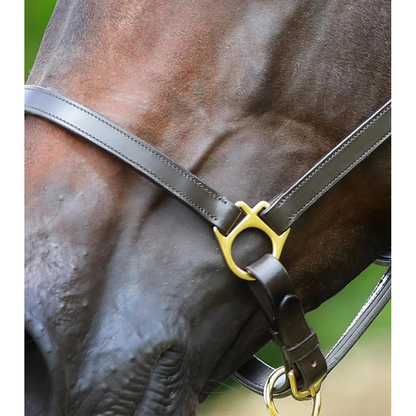 Pasco Plain Leather Head Collar