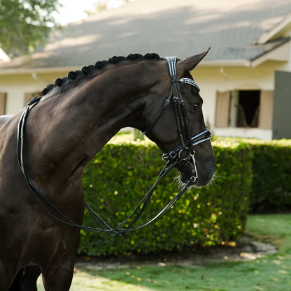 Paris Bridle (Double) (No reins)