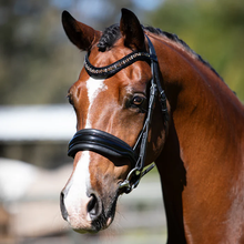 Load image into Gallery viewer, Ariana Bridle (Cavesson) (No reins)