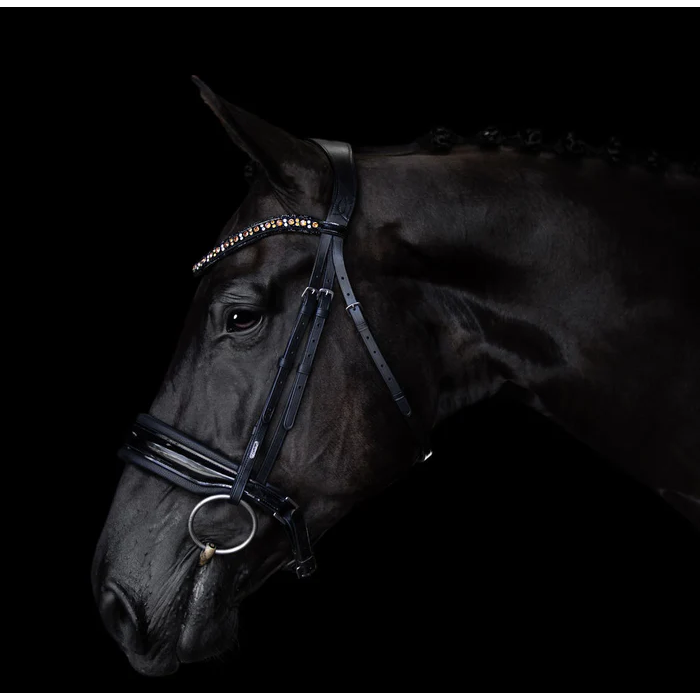 Ariana Bridle (Cavesson) (No reins)