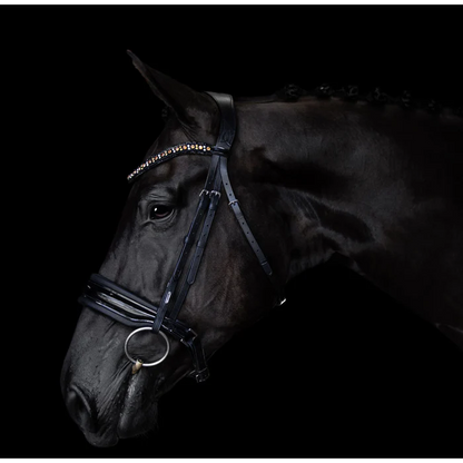 Ariana Bridle (Cavesson) (No reins)