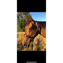 Load image into Gallery viewer, Custom Padded Leather Halter w/plate