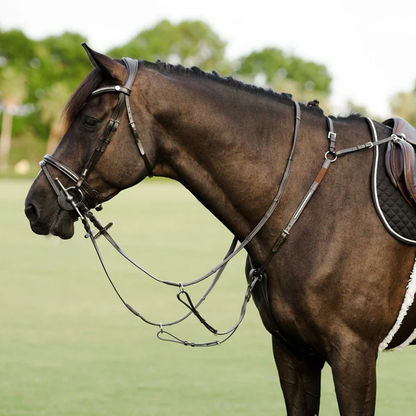 Perseus 3 Point Breastplate