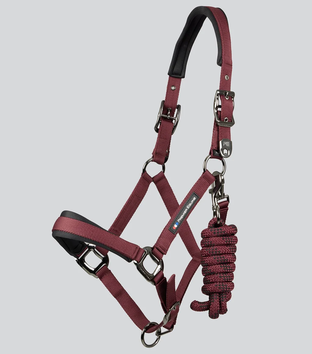 Corda Padded Head Collar with Lead Rope