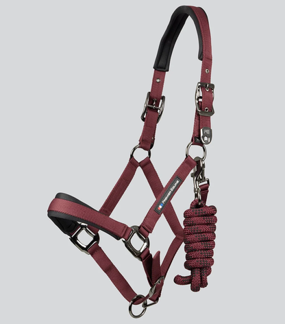 Corda Padded Head Collar with Lead Rope