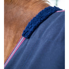 Load image into Gallery viewer, Barrasso Stable Sheet