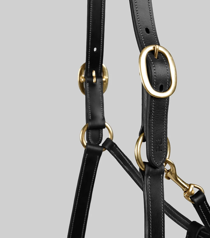Traditional Leather Headcollar