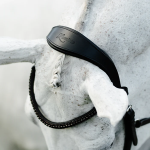 Skyla Bitless Bridle (No reins)