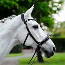 Load image into Gallery viewer, Skyla Bitless Bridle (No reins)
