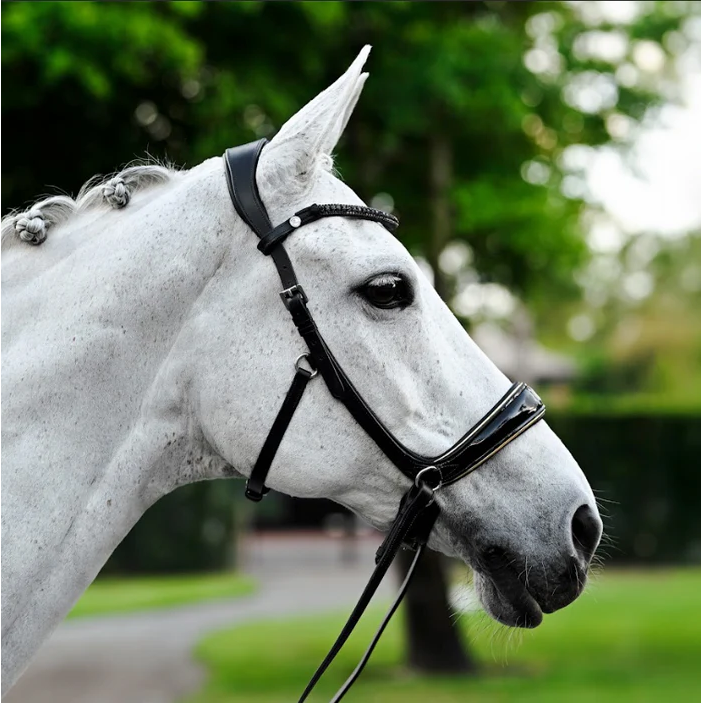 Skyla Bitless Bridle (No reins)