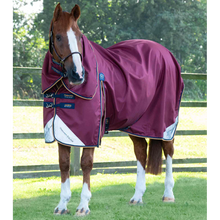 Load image into Gallery viewer, Akoni 0g Turnout Rug with Classic Neck Cover