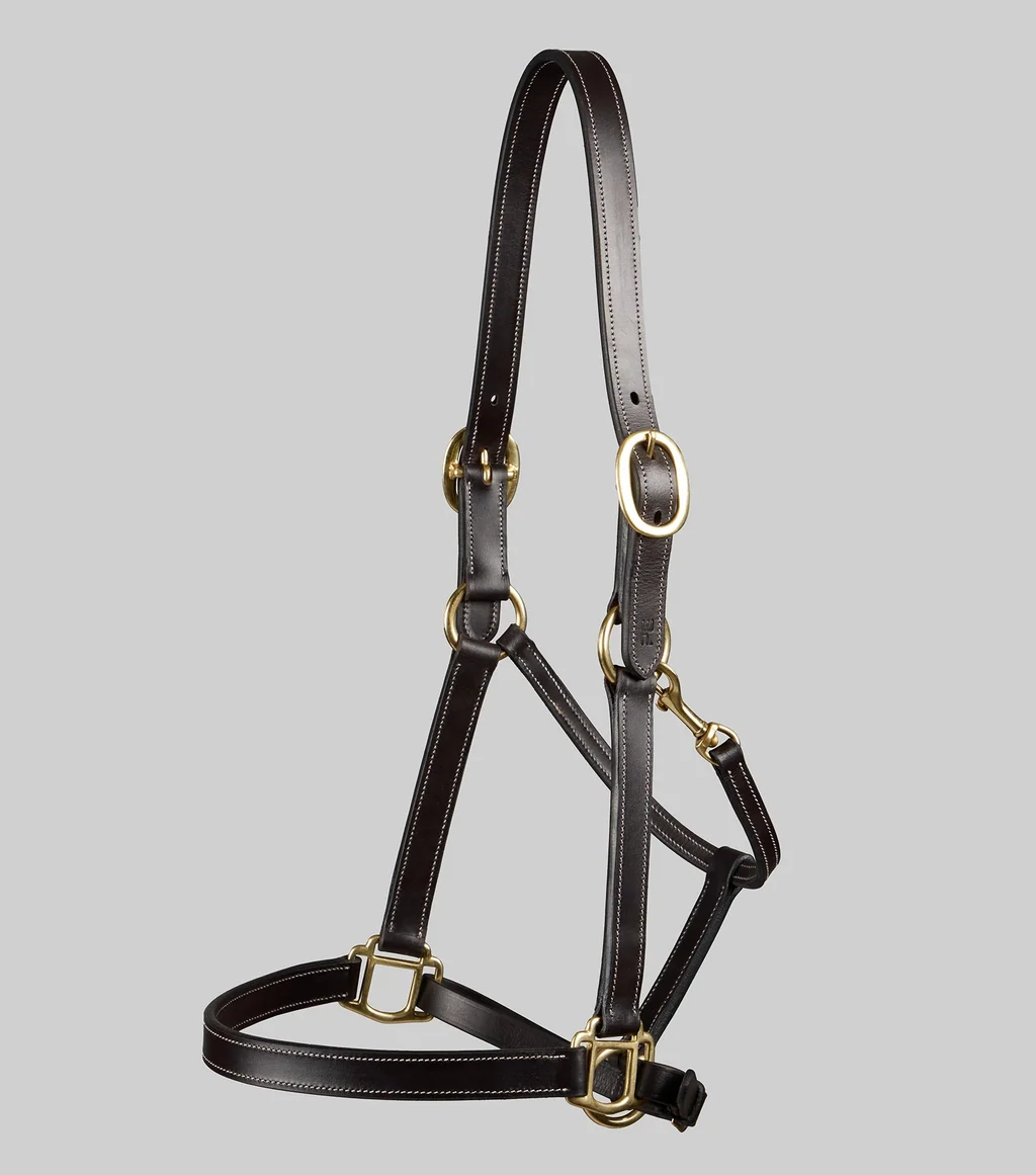 Traditional Leather Headcollar