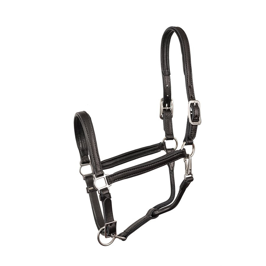 3/4" Padded Leather Halter