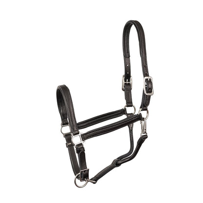 3/4" Padded Leather Halter