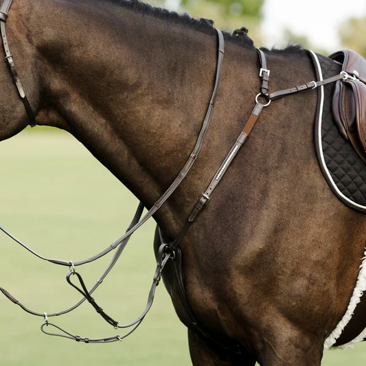 Perseus 3 Point Breastplate