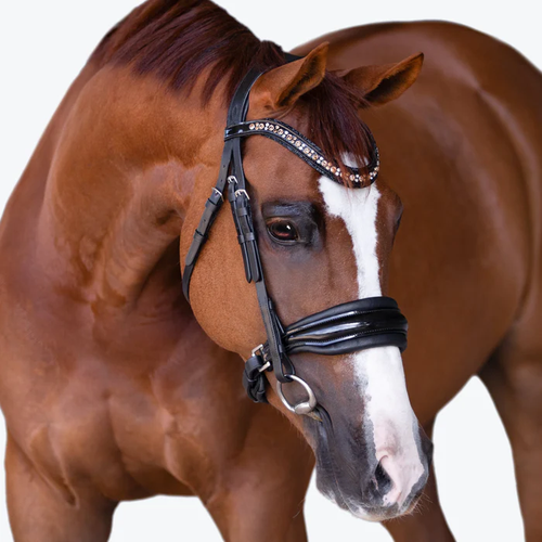 Ariana Bridle (Cavesson) (No reins)