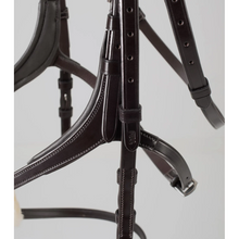 Load image into Gallery viewer, Glorioso Grackle Bridle (No reins)