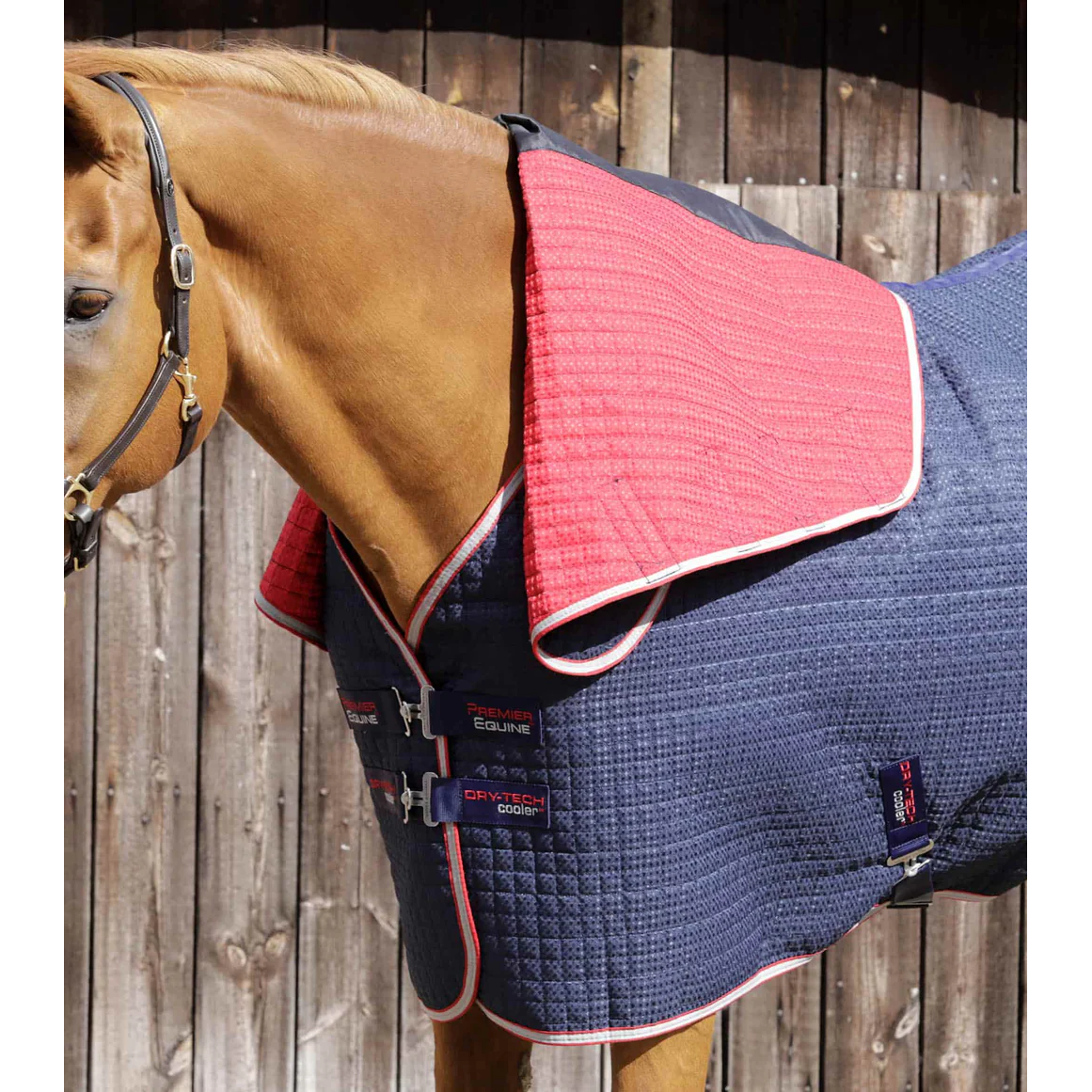 Combo Dry-Tech Horse Cooler Rug