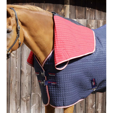Load image into Gallery viewer, Combo Dry-Tech Horse Cooler Rug