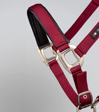 Plain Padded Head Collar with Lead Rope