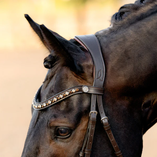 Pippa Bridle (Hanoverian) (No reins)