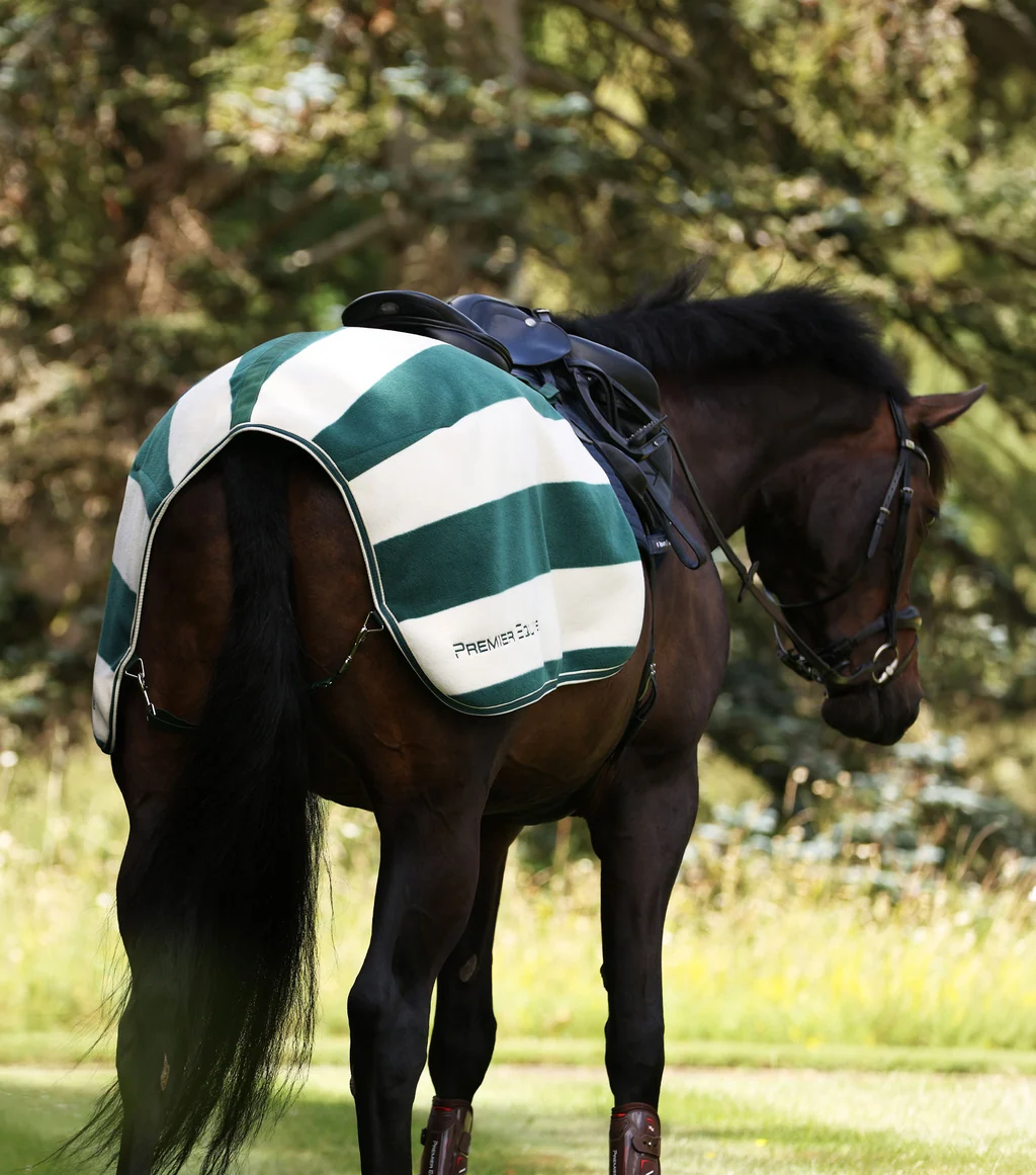 Vellus Horse Fleece Quarter Sheet