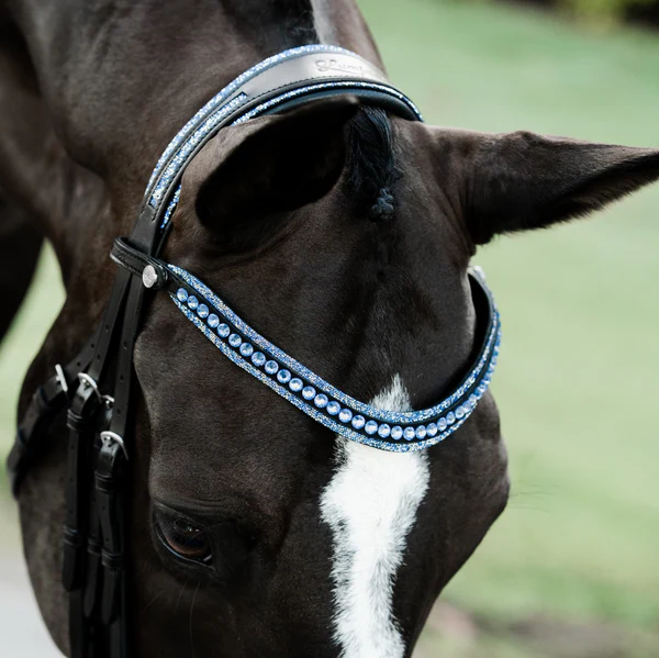Paris Bridle (Double) (No reins)