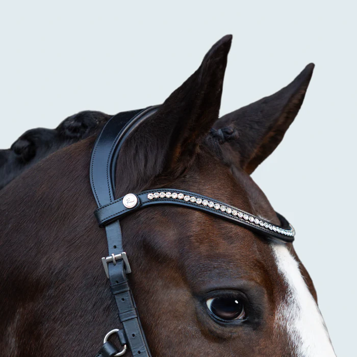 Symphony Bitless Bridle (No reins)