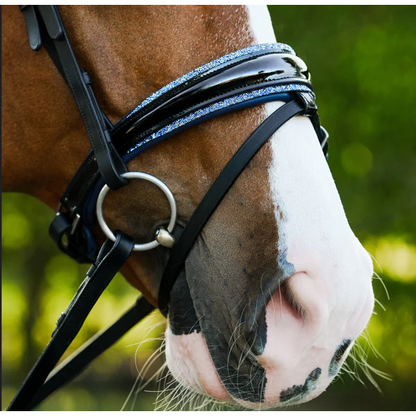 Paris Bridle (Hanoverian) (No reins)