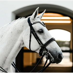 Saphira Bridle (Double) (No reins)