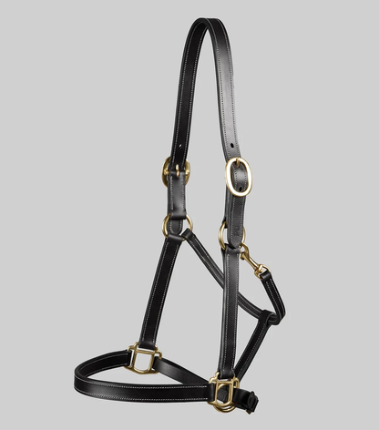 Traditional Leather Headcollar