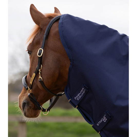 Stratus 600D Series 0g Turnout Rug with Classic Neck Cover