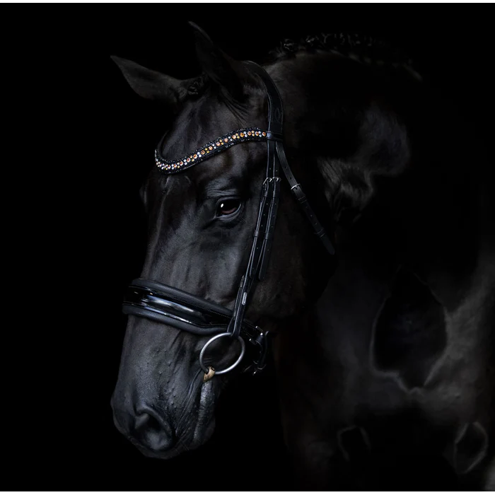 Ariana Bridle (Cavesson) (No reins)