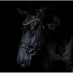 Ariana Bridle (Cavesson) (No reins)