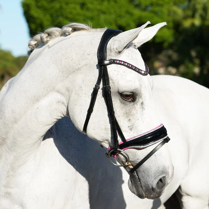 Perla Bridle (Hanoverian) (No reins)