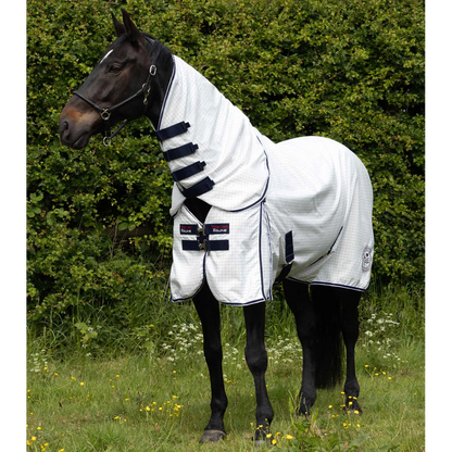 Cotone Combo Stable Sheet