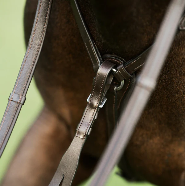 Perseus 3 Point Breastplate