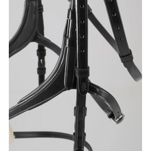 Load image into Gallery viewer, Glorioso Grackle Bridle (No reins)