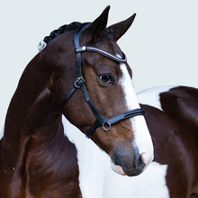 Load image into Gallery viewer, Santiago Bitless Bridle (No reins)