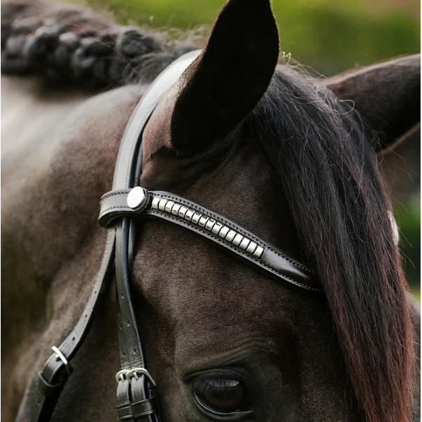 Perseus Bridle (Convertible) (No reins)
