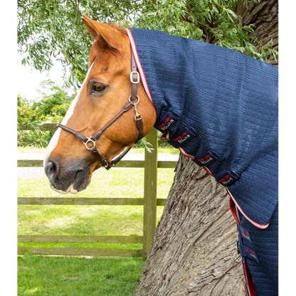 Combo Dry-Tech Horse Cooler Rug