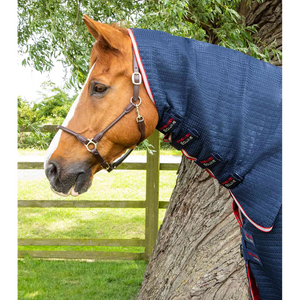 Combo Dry-Tech Horse Cooler Rug