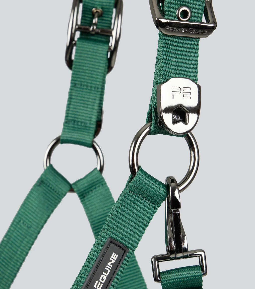 Corda Padded Head Collar with Lead Rope
