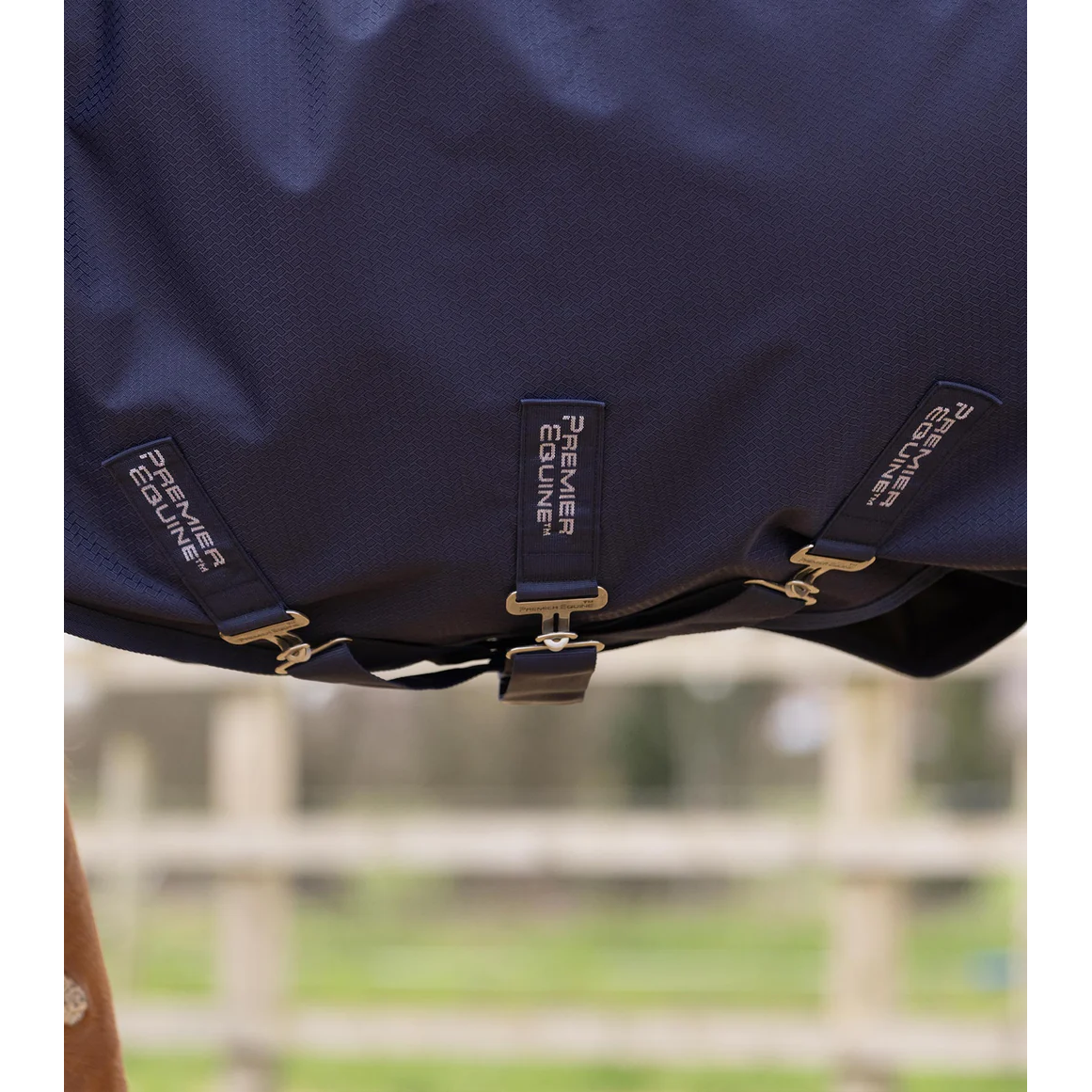 Stratus 600D Series 0g Turnout Rug with Classic Neck Cover