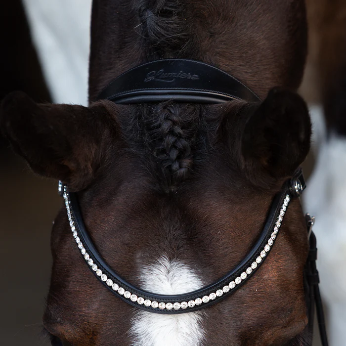 Symphony Bitless Bridle (No reins)