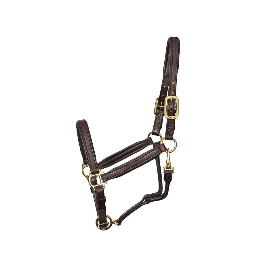 3/4" Padded Leather Halter