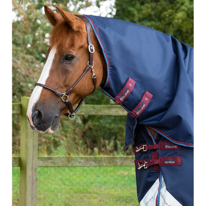 Akoni 0g Turnout Rug with Classic Neck Cover