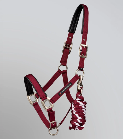 Plain Padded Head Collar with Lead Rope