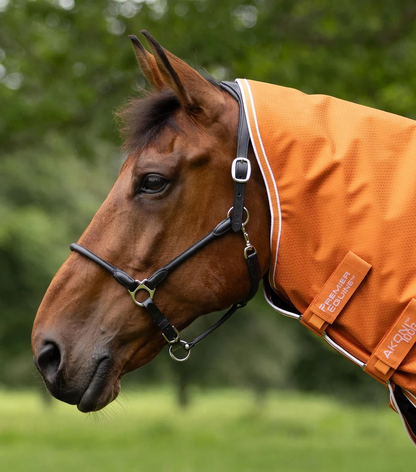 Akoni 100g Turnout Rug with Classic Neck Cover